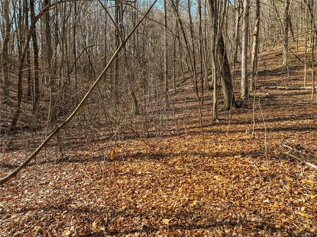 Lot 6 Mount Mincie Road, Murrayville, GA 30564