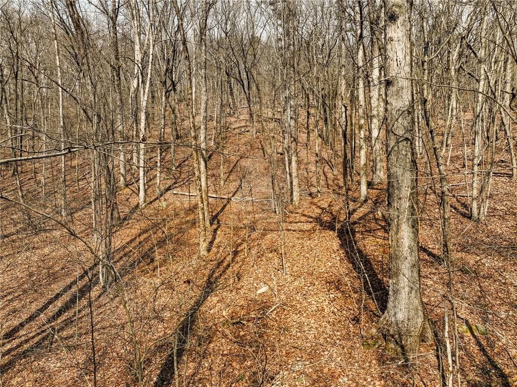 Lot 6 Mount Mincie Road, Murrayville, GA 30564