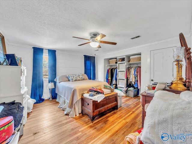 5167 County Road 608, Valley Head, AL 35989