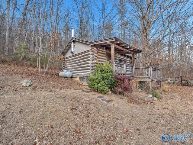 5167 County Road 608, Valley Head, AL 35989