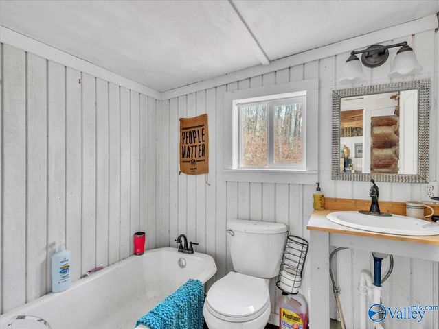 5167 County Road 608, Valley Head, AL 35989