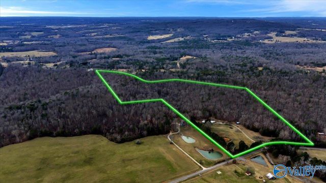 5167 County Road 608, Valley Head, AL 35989