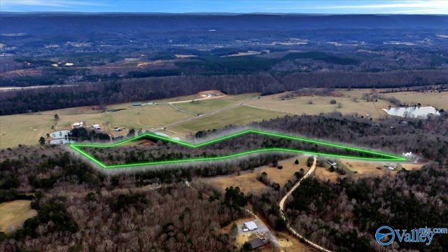 5167 County Road 608, Valley Head, AL 35989