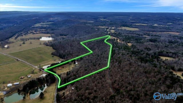 5167 County Road 608, Valley Head, AL 35989