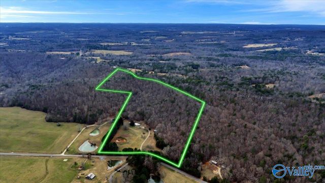 5167 County Road 608, Valley Head, AL 35989