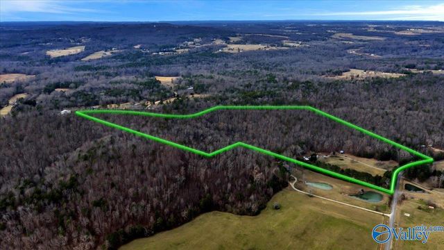 5167 County Road 608, Valley Head, AL 35989