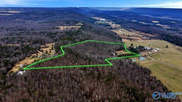 5167 County Road 608, Valley Head, AL 35989