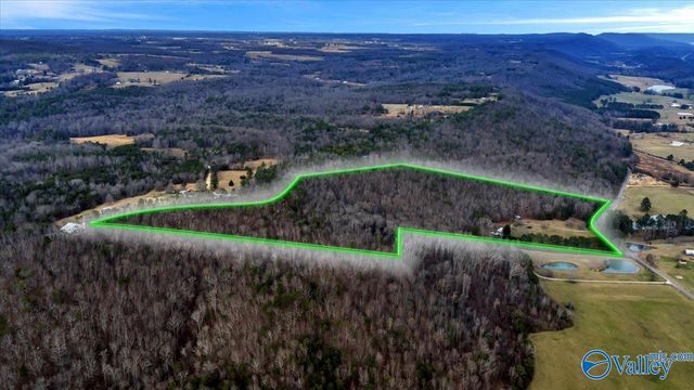 5167 County Road 608, Valley Head, AL 35989