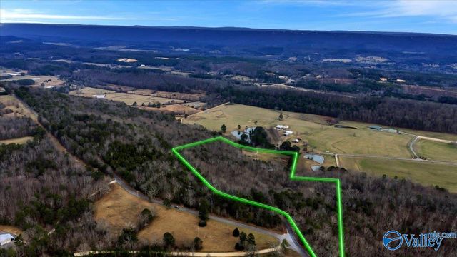 5167 County Road 608, Valley Head, AL 35989