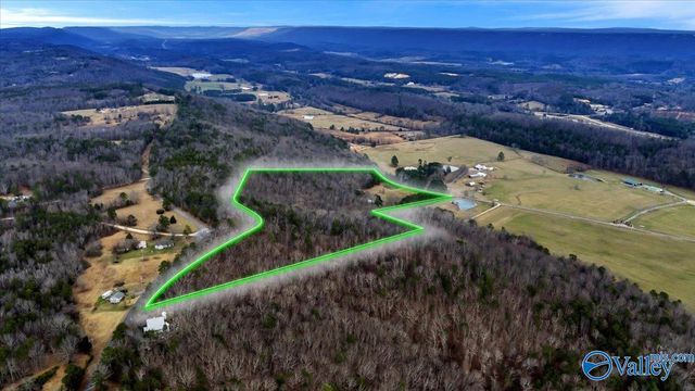 5167 County Road 608, Valley Head, AL 35989