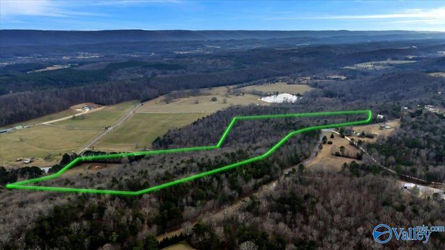 5167 County Road 608, Valley Head, AL 35989