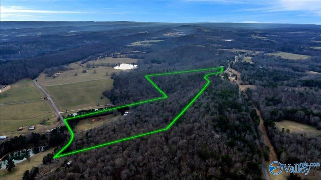 5167 County Road 608, Valley Head, AL 35989