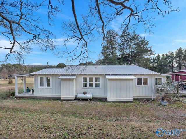 5167 County Road 608, Valley Head, AL 35989