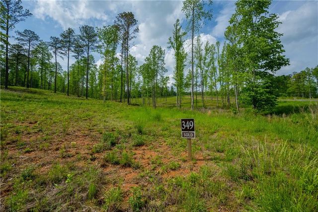 L349 Vineyard at Yukon, Ellijay, GA 30175