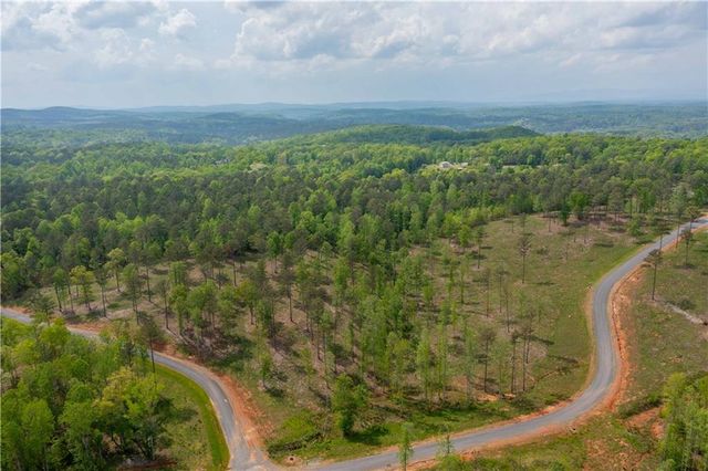 L349 Vineyard at Yukon, Ellijay, GA 30175