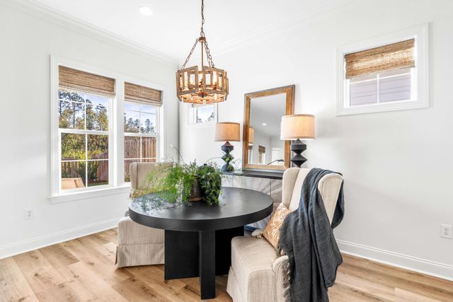 59 Suwannee Drive, Inlet Beach, FL 32461