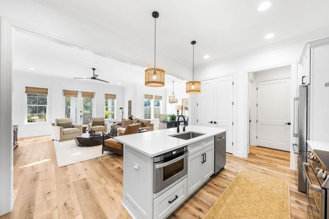 59 Suwannee Drive, Inlet Beach, FL 32461