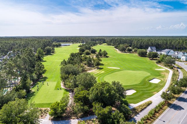 59 Suwannee Drive, Inlet Beach, FL 32461