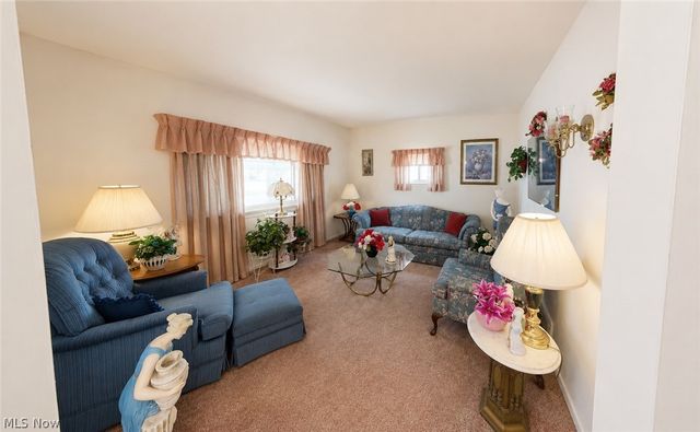 596 Mill Street, Conneaut, OH 44030