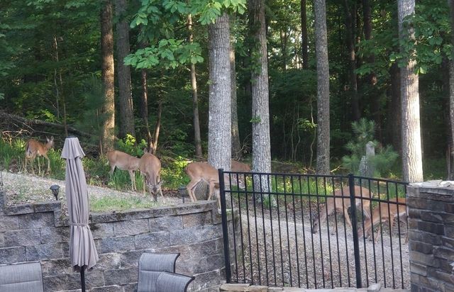 1240 POINT GRAND DR, Savannah, TN 38372