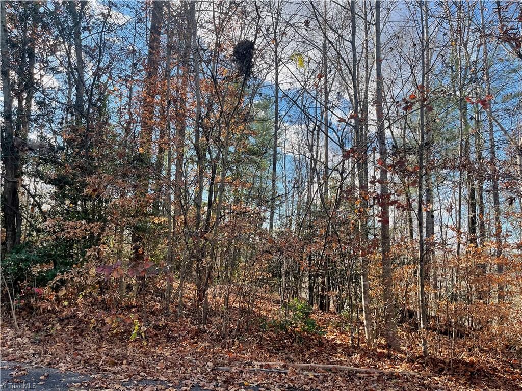 Lot 4 Longview Drive, Wilkesboro, NC 28697