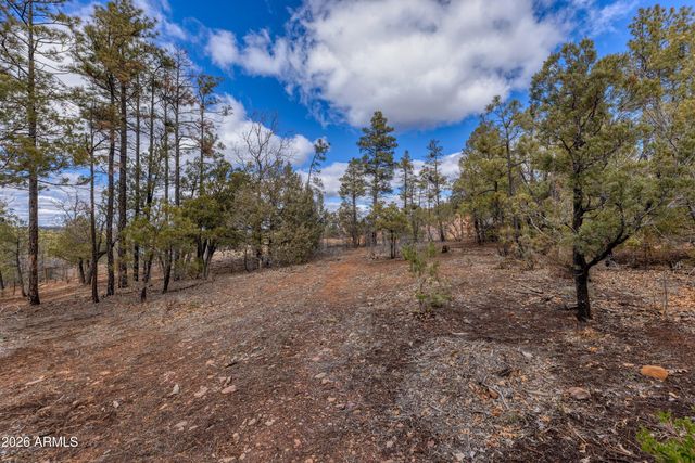 4701 S PINE Way 9, Show Low, AZ 85901