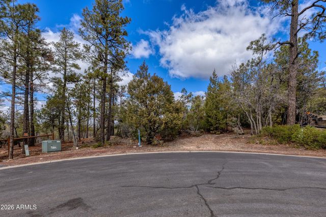 4701 S PINE Way 9, Show Low, AZ 85901