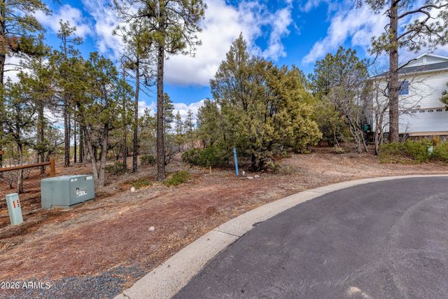 4701 S PINE Way 9, Show Low, AZ 85901