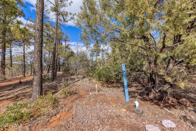 4701 S PINE Way 9, Show Low, AZ 85901