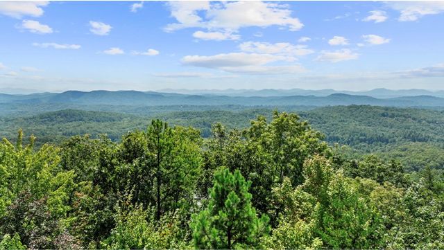 279 Rising Star Lane, Mineral Bluff, GA 30559