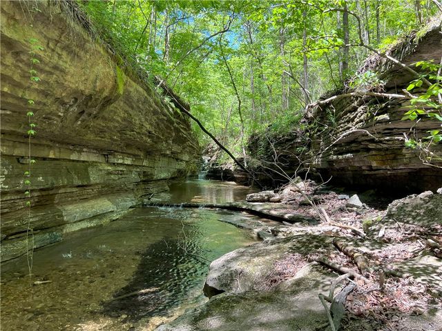 Hwy 62, Garfield, AR 72732