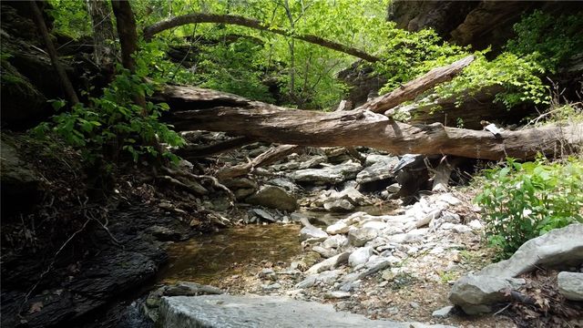 Hwy 62, Garfield, AR 72732