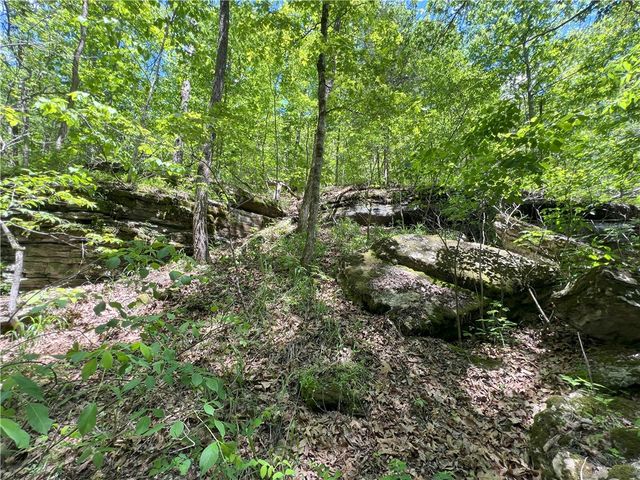 Hwy 62, Garfield, AR 72732