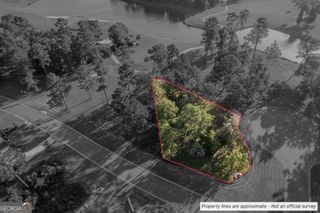 LOT 31 Woodstork Court, Waverly, GA 31565