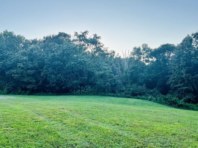 545 Deepwood Drive, Waverly, TN 37185