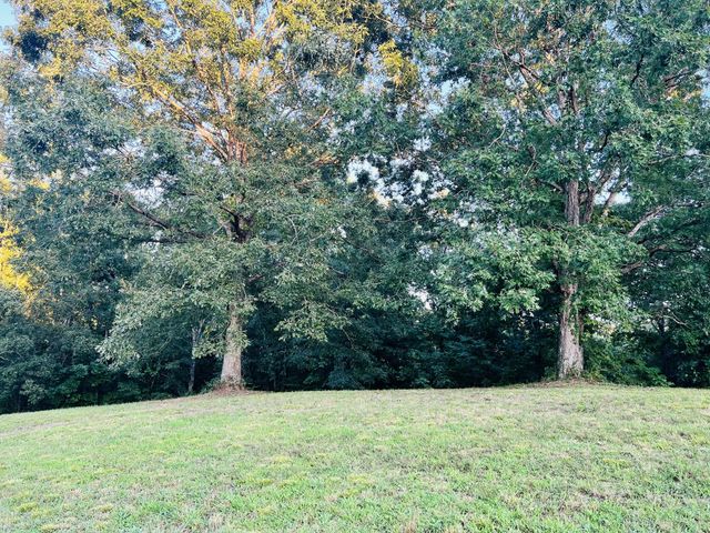 545 Deepwood Drive, Waverly, TN 37185