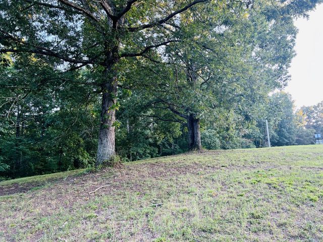 545 Deepwood Drive, Waverly, TN 37185