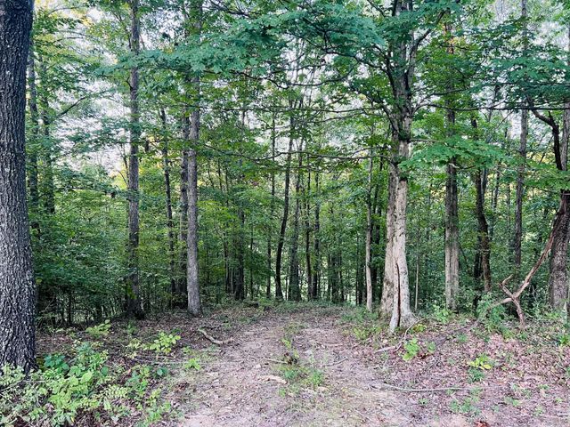 545 Deepwood Drive, Waverly, TN 37185