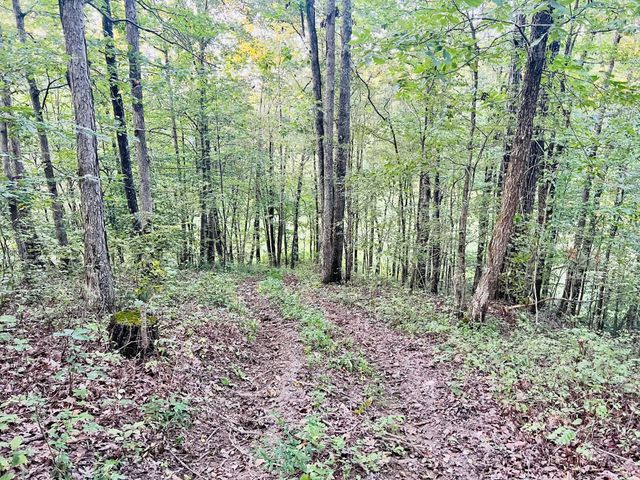 545 Deepwood Drive, Waverly, TN 37185