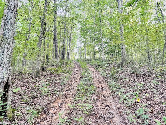 545 Deepwood Drive, Waverly, TN 37185