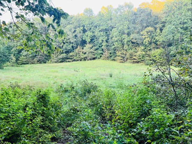 545 Deepwood Drive, Waverly, TN 37185