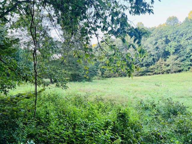 545 Deepwood Drive, Waverly, TN 37185