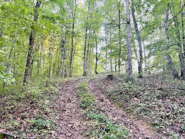 545 Deepwood Drive, Waverly, TN 37185