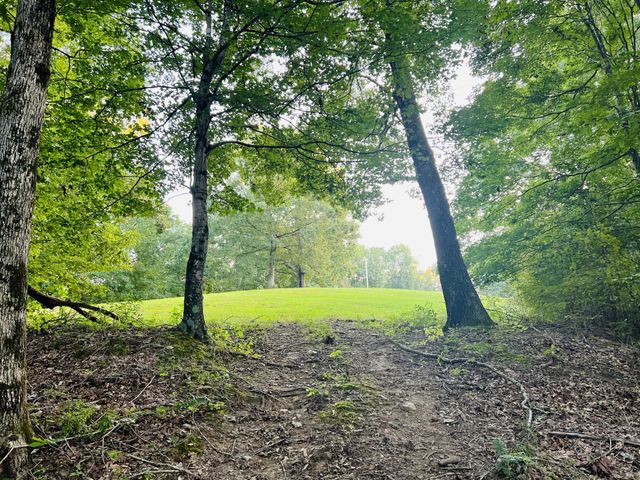 545 Deepwood Drive, Waverly, TN 37185