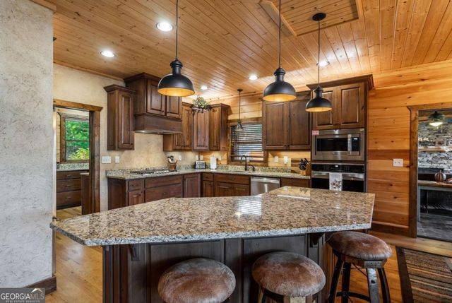 215 Snake Nation Overlook, Blue Ridge, GA 30513