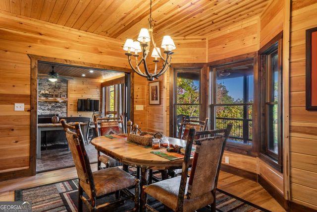 215 Snake Nation Overlook, Blue Ridge, GA 30513