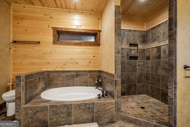 215 Snake Nation Overlook, Blue Ridge, GA 30513