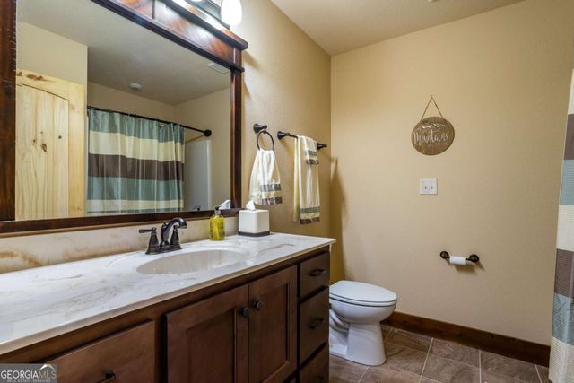 215 Snake Nation Overlook, Blue Ridge, GA 30513