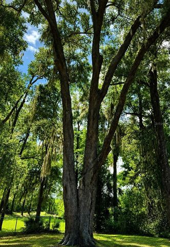 18848 SW 60TH STREET, Dunnellon, FL 34432