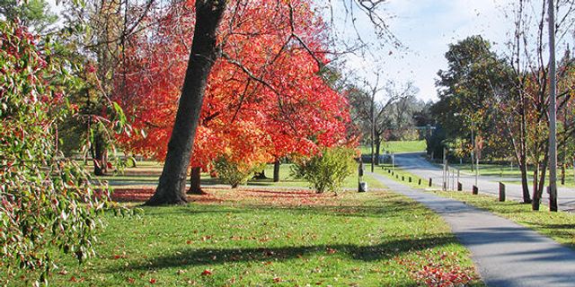 626 E 11th Street, Springfield, MO 65807